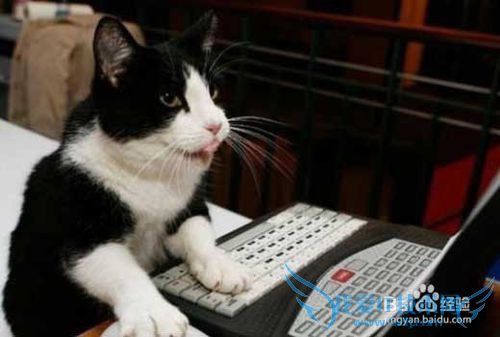 网上各类兼职可信吗