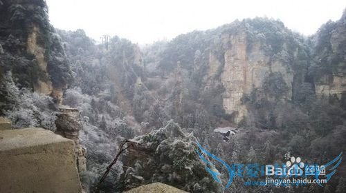 2016张家界旅游攻略实用攻略+费用+小贴士+游记