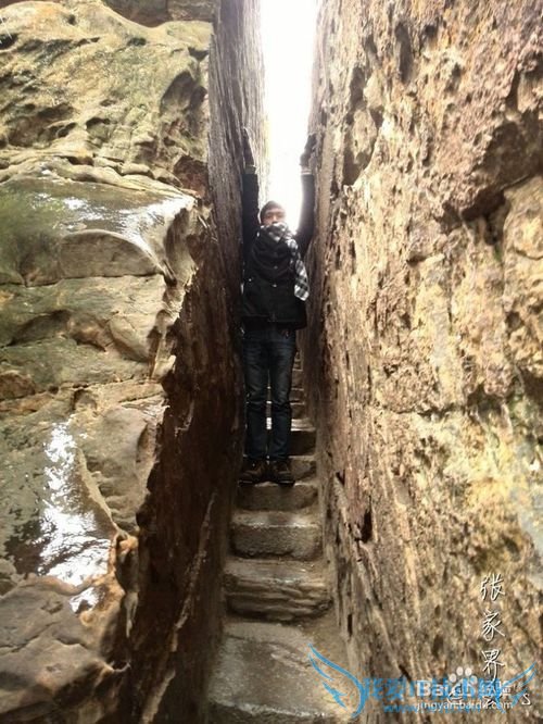 2016张家界旅游攻略实用攻略+费用+小贴士+游记