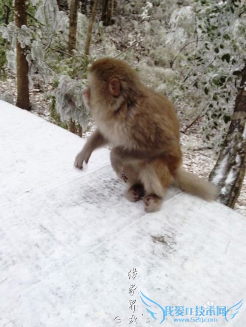 2016张家界旅游攻略实用攻略+费用+小贴士+游记