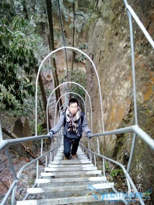 2016张家界旅游攻略实用攻略+费用+小贴士+游记