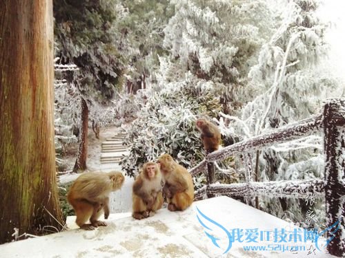 2016张家界旅游攻略实用攻略+费用+小贴士+游记