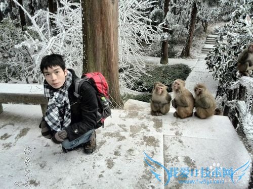 2016张家界旅游攻略实用攻略+费用+小贴士+游记