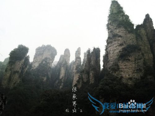 2016张家界旅游攻略实用攻略+费用+小贴士+游记