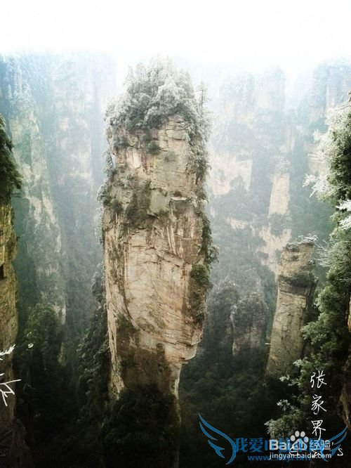 2016张家界旅游攻略实用攻略+费用+小贴士+游记
