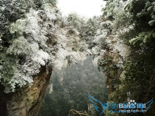 2016张家界旅游攻略实用攻略+费用+小贴士+游记