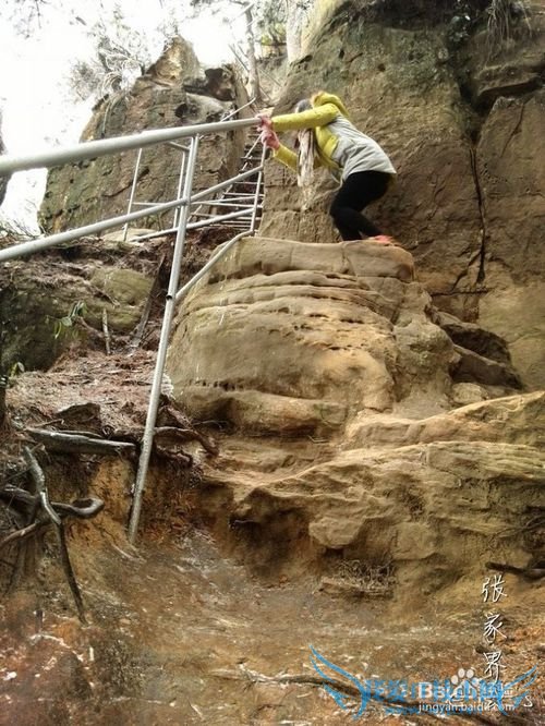 2016张家界旅游攻略实用攻略+费用+小贴士+游记