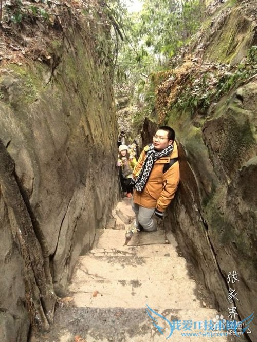 2016张家界旅游攻略实用攻略+费用+小贴士+游记