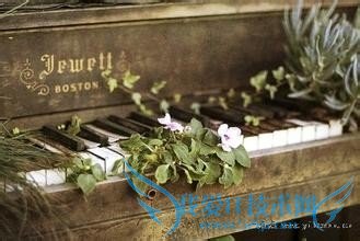 大学生活是怎样的?应怎么处理人和事?