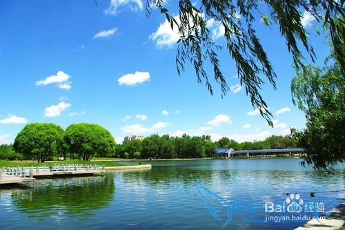 ߿־ԸҪѧУЩϸڷ