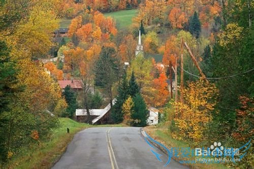 菲尼克斯庄园一日游攻略-愿岁月静好温柔相待