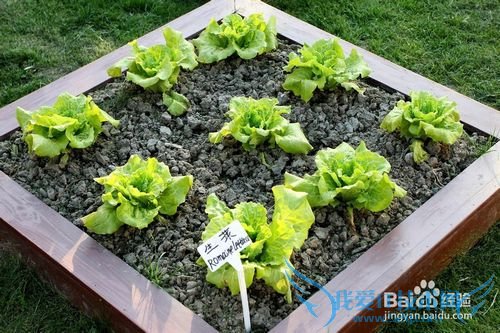 菲尼克斯庄园一日游攻略-愿岁月静好温柔相待