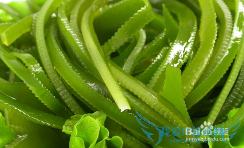 如何做好身体排毒?