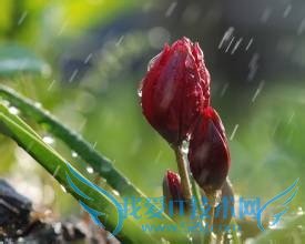 国庆节旅游要注意什么?