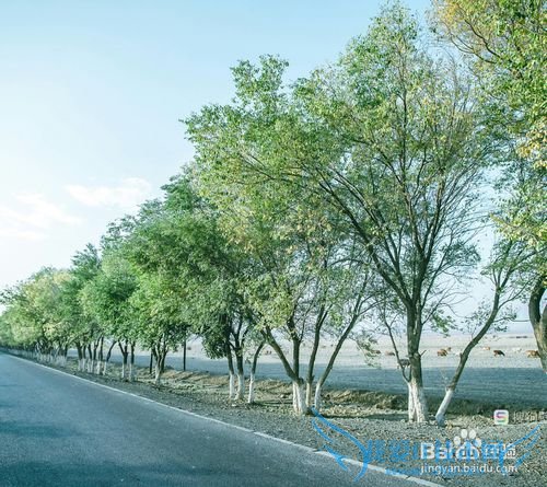 ÈçºÎÔÚ¸ßËÙ¹«Â·Éϰ²È«ÐÐÊ»