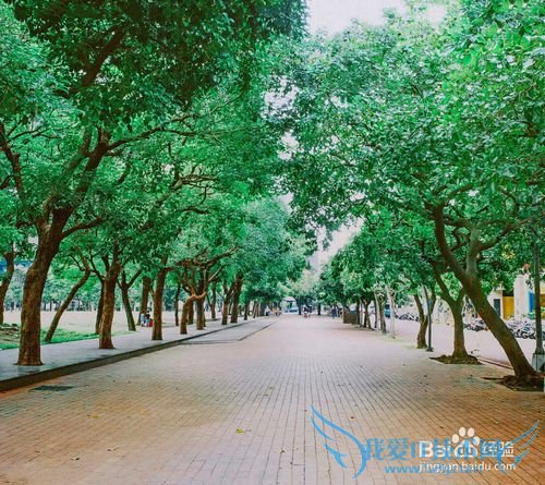 ÈçºÎÔÚ¸ßËÙ¹«Â·Éϰ²È«ÐÐÊ»