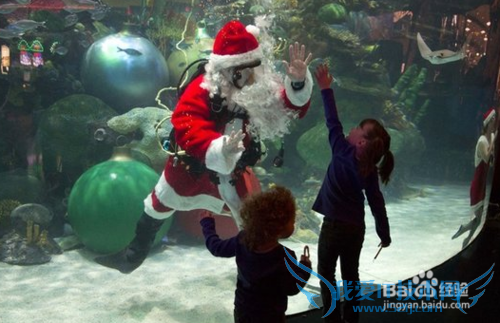 《我爱挖智慧》玩转圣诞节之中国圣诞节的活动