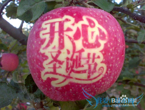 《我爱挖智慧》玩转圣诞节之中国圣诞节的活动