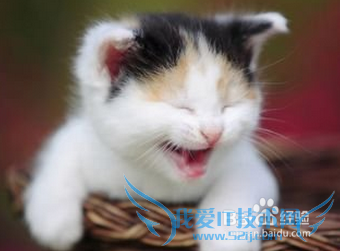 怎么样保持健康的身体