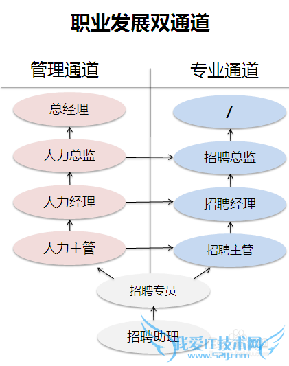 招聘专员的未来方向在哪里?