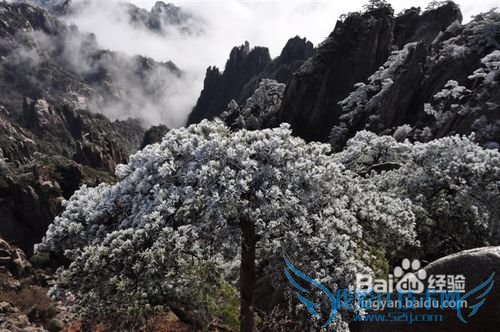 怎么自助游览黄山