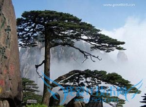 怎么自助游览黄山