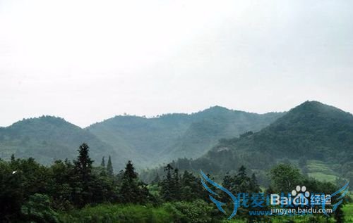 安徽合肥汤池金孔雀温泉度假村旅游攻略