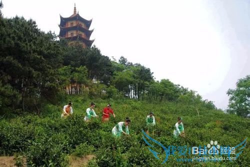 安徽合肥汤池金孔雀温泉度假村旅游攻略