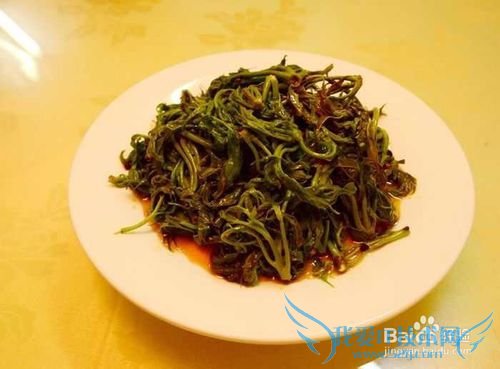 安徽合肥汤池金孔雀温泉度假村旅游攻略