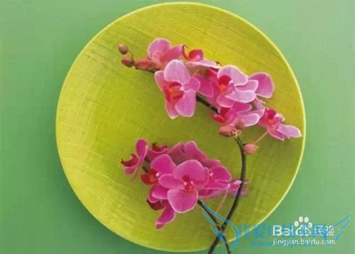 一个家庭的兴败,只看三个地方!