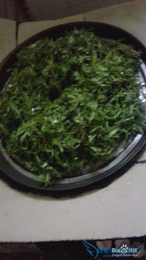 自制柳叶茶叶----清新天然绿茶