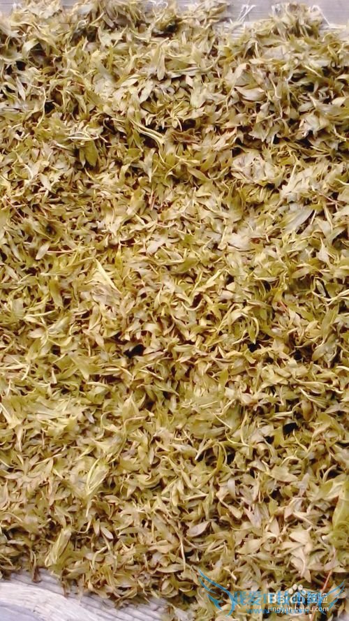自制柳叶茶叶----清新天然绿茶