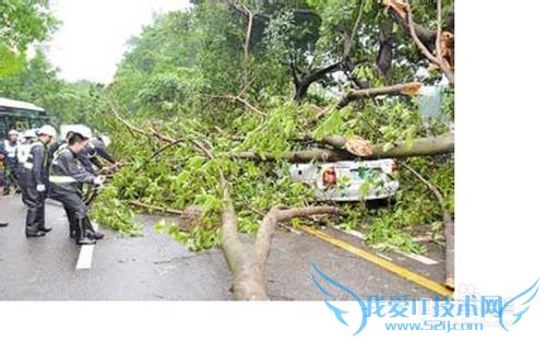 如何在大风中保护自己的安全?