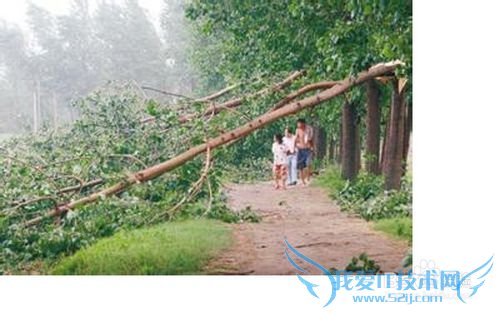 如何在大风中保护自己的安全?