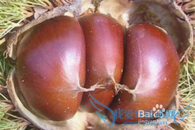 经常熬夜吃什么好的生活常识