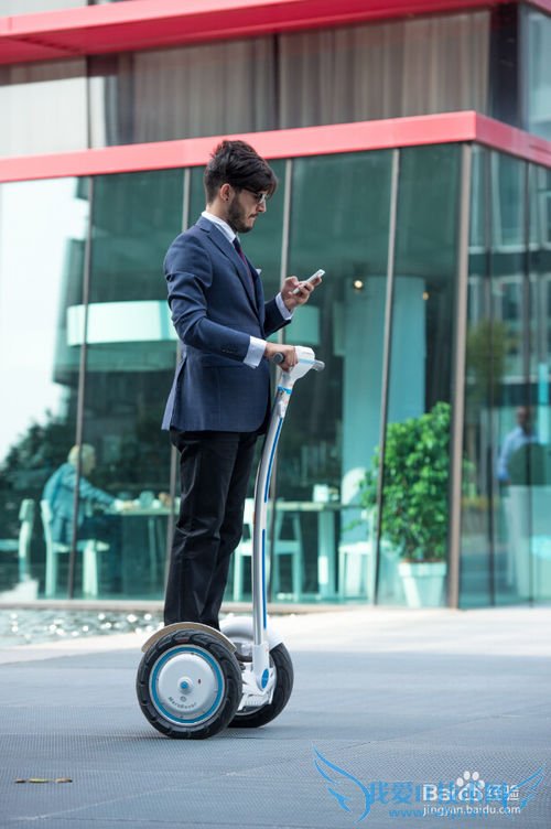 两轮自平衡车是由哪些部件构成的