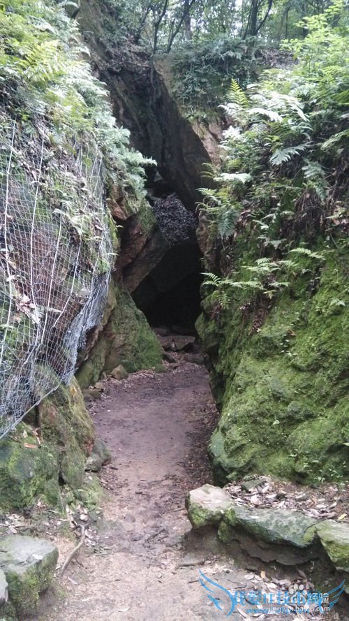 杭州西湖周边游 -- 黄龙洞一日游