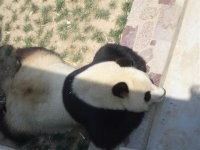 西霞口野生动物园