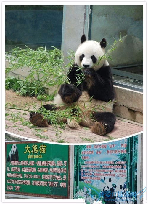 西霞口野生动物园