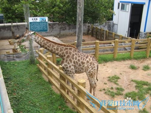 西霞口野生动物园