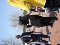 西霞口野生动物园