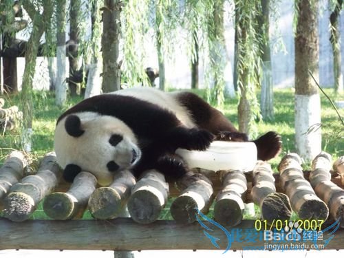 西霞口野生动物园