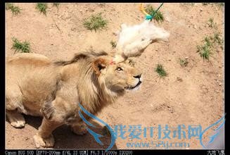 西霞口野生动物园