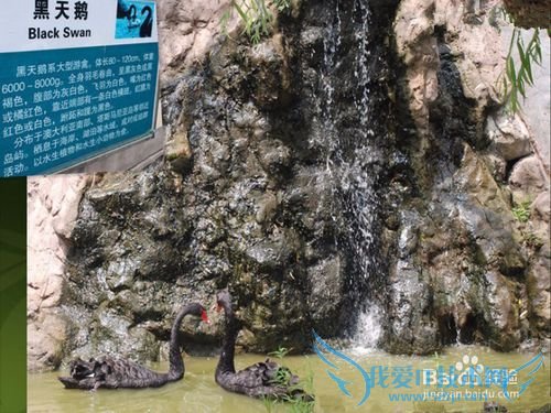 西霞口野生动物园