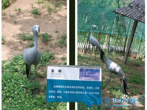 西霞口野生动物园