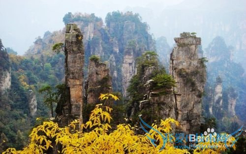 张家界春节自驾游攻略