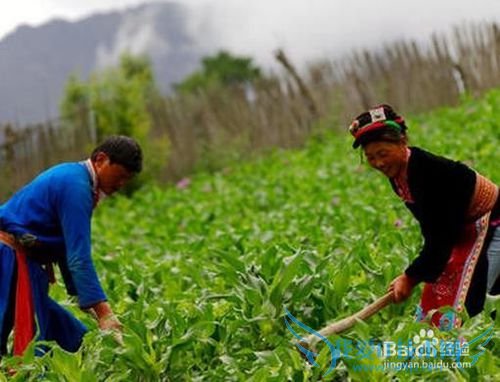 五一节可以些什么