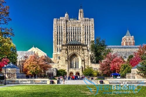 怎么有意义的度过大学生活?