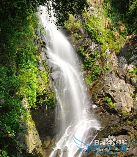 五一香港游——最新香港旅游攻略