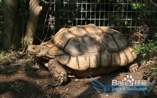 五一香港游——最新香港旅游攻略